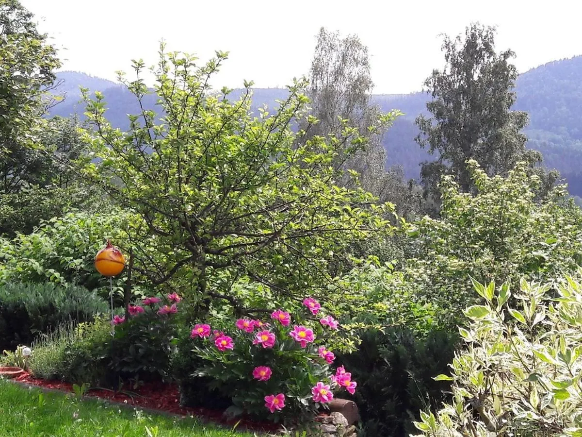 Harlachberg Blick 1 بودنمايس 0*,  ألمانيا